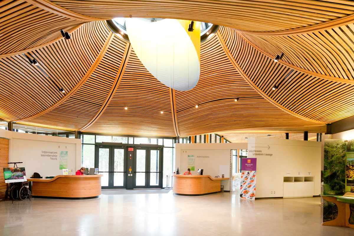 Interior view of low rise VanDusen Botanical Garden visitor center lobby featuring a prefabricated wooden ceiling made in the form of an inverted flower