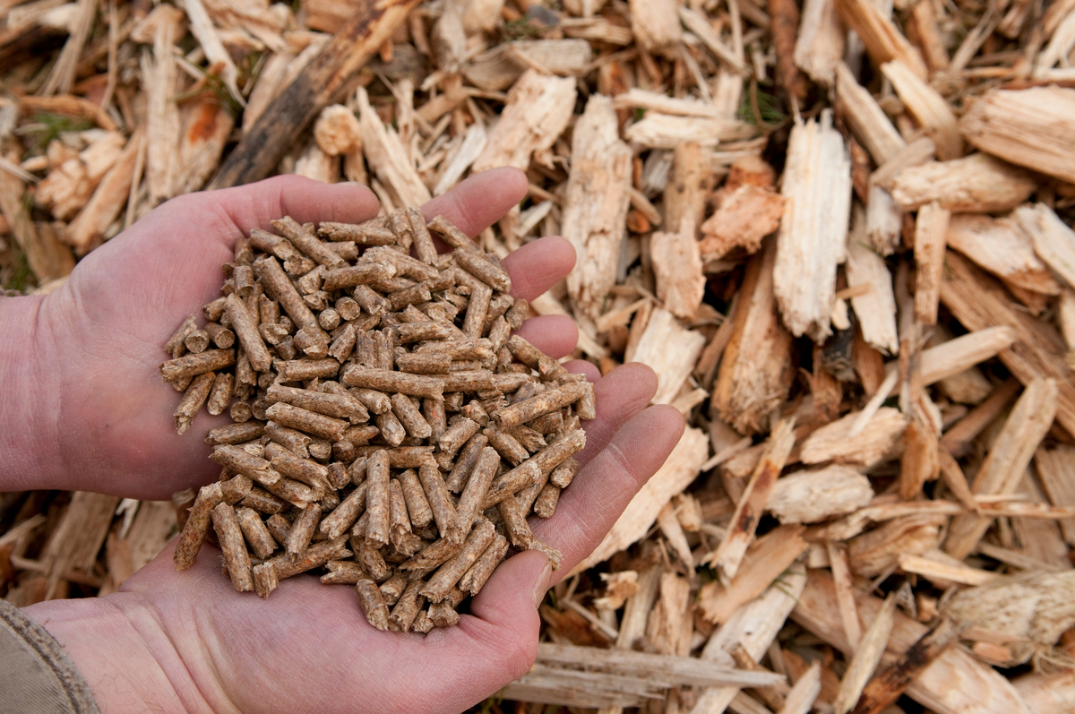 Close up view of upturned open hands holding WPAC wood pellets with wood pieces in background